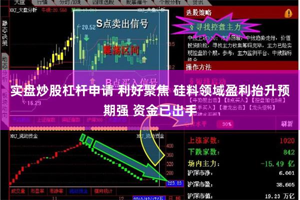 实盘炒股杠杆申请 利好聚焦 硅料领域盈利抬升预期强 资金已出手