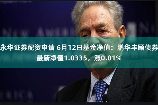 永华证券配资申请 6月12日基金净值：鹏华丰颐债券最新净值1.0335，涨0.01%