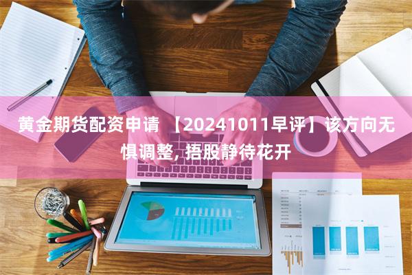 黄金期货配资申请 【20241011早评】该方向无惧调整, 捂股静待花开