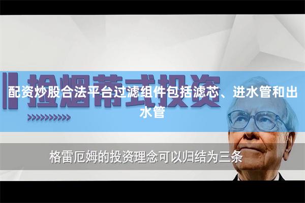 配资炒股合法平台过滤组件包括滤芯、进水管和出水管